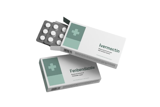 chatgpt image nov 12 2025 04 26 09 pm removebg preview